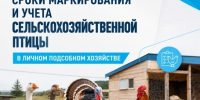 Информация для владельцев ЛПХ Ейского района - Администрация Ейского района