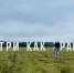 На въезде в Тулу установили надпись «Смотри как красиво» - ИА Тульская служба новостей
