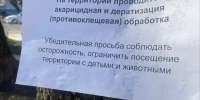 На обработку детских и спортивных площадок от крыс и клещей в Калининграде выделили 700 тысяч рублей - Kaliningrad.Ru