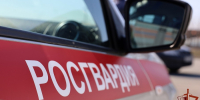 наклейка Росгвардия на машине - ИА Nord-News.Ru
