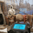 экспозиция в музее - ИА Nord-News.Ru