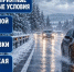 Осторожно, невидимый лед: синоптики прогнозируют -1°C уже во вторник - Газета Выборг