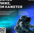 Космос на приближении. Студентов Университета Решетнёва приглашают к участию в кейс-чемпионате по обработке данных дистанционного зондирования Земли - СибГУ им. М.Ф. Решетнева