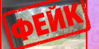 Видео с медведем возле дач в Ивановке оказалось фейком - Забайкальский рабочий