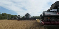 Аграрии Кузбасса убрали уже более половины урожая - ГТРК Кузбасс