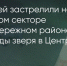 Поделитья во ВКонтакте - Братская Студия Телевидения