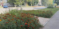 Слабый дождь прогнозируют синоптики в Бугульме 8 сентября - Бугульминская газета