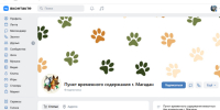 У магаданского пункта временного содержания животных появилась своя страница ВКонтакте - Мэрия города Магадана
