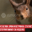пост 3 - Cityopen.ru