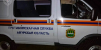 В Амурской области спасли пенсионерку, заблудившуюся в лесу - gtrkamur.ru - ГТРК Амур