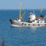 Рекордное осолонение Азовского моря: солёность достигла 16 промилле, промысловая рыба уступает место хамсе и медузам - Ростов161