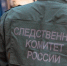 На Камчатке задержан пенсионер, проломивший череп подростку - M24.Ru