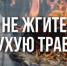 Не допускайте сжигания сухой травы и стерни! - Веселовский район