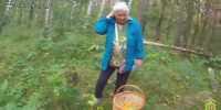 В Пензе сотрудники полиции оперативно отыскали заблудившуюся в лесу 80-летнюю женщину - УМВД Пензенской области