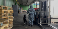 JPG Файл - ГУ МВД Красноярского края 