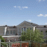 Дополнительные электрички назначили на фестиваль «Арзамасский гусь» - ИА Нижний сейчас