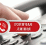 Специальная «горячая линия» для приема обращений от участников специ-альной военной операции и членов их семей - Нижнетуринский городской округ