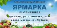 Уважаемые жители и гости Туймазинского района! - Администрация Туймазинского района