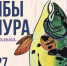 Выставку «Рыбы Амура и не только...» готовят к открытию в Хабаровске - ИА Хабаровский край сегодня