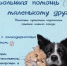Большая помощь маленькому другу - Власть Труда