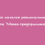 Региональный этап проекта «Мама-предприниматель» стартовал в Липецке - Народное слово