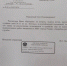 «Крысиный городок» под окнами детей: рязанцы второй год не могут добиться вывоза веток - ИА Малая Родина