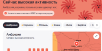 Жителей Новочеркасска предупредили об активности пыльцы амброзии - DonDay-Novocherkassk.Ru