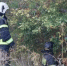 МЧС России продолжает ликвидацию ландшафтных пожаров в Оренбургской области - Гайский городской округ