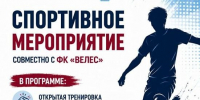 Турниру с «Велесом» быть - Администрация г. Домодедово