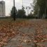 Осень - ParmaNews.Ru