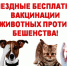 Уважаемые владельцы животных пгт Судиславль! - Судиславский муниципальный округ