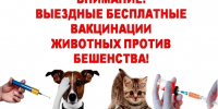 Уважаемые владельцы животных пгт Судиславль! - Судиславский муниципальный округ