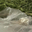 0d7d6790-1eab-43af-93da-a70aa95dfa6b.jpg - МВД Республики Адыгея