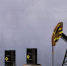 Goldman Sachs: напряженность на Ближнем Востоке может поднять нефть до $120 - ИА Медиа Ток
