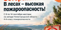 С 8 по 14 сентября в Нижегородской области сохранится 4-й класс пожароопасности лесов и торфяников - Саров24