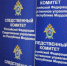 Директора УК в Саранске оштрафовали за упавшую с крыши наледь, повлекшую гибель женщины - Вестник Мордовии