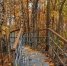 На экотропе «Стрельная гора» изменили расписание экскурсий - SamaraGIS.Ru