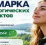 Конкурс экологических проектов стартовал в Ленобласти - Online47.Ru