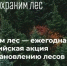 08.09.2026 | Более 400 тысяч сеянцев планируется высадить в Тверской области: жителей Верхневолжья приглашают присоединиться к Всероссийской акции «Сохраним лес» - Правительство области