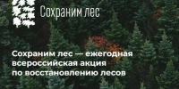 08.09.2026 | Более 400 тысяч сеянцев планируется высадить в Тверской области: жителей Верхневолжья приглашают присоединиться к Всероссийской акции «Сохраним лес» - Правительство области