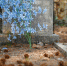 В Кургане разрешили хоронить участников СВО и ветеранов на кладбище в Шепотково - Область 45