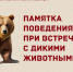 Правила поведения при встрече с дикими животными. - Каратузский район