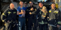 В Белгороде пожарные спасли двух котов и собаку из горящего дома - Сетевое издание Победа 31