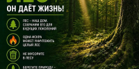 Лесничество Цунтинского района напоминает о правилах пожарной безопасности - Цунтинский район