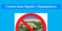 Совместная борьба с борщевиком.. - Комсомольский район