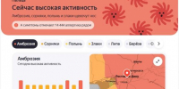 Ад для аллергиков: жителям Ростова и области напомнили о пике активности пыльцы амброзии - Панорама
