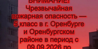 Соблюдайте запрет на посещение лесов - Администрация города