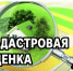 Извещение. - Город Новодвинск