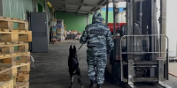 В Красноярске на оптовом складе полиция обнаружила 11 нелегалов - Комсомольская Правда