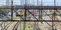 В Курганской области поезд сбил рысь - Область 45